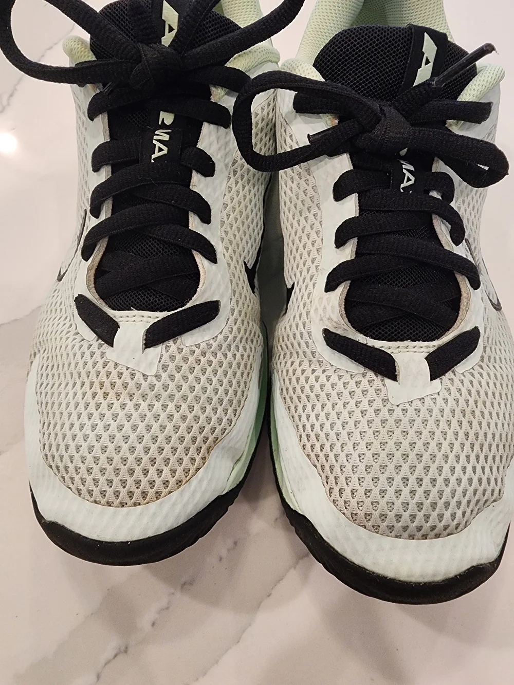 Men's Nike Air Max Alpha Trainer 6 training shoes in a 